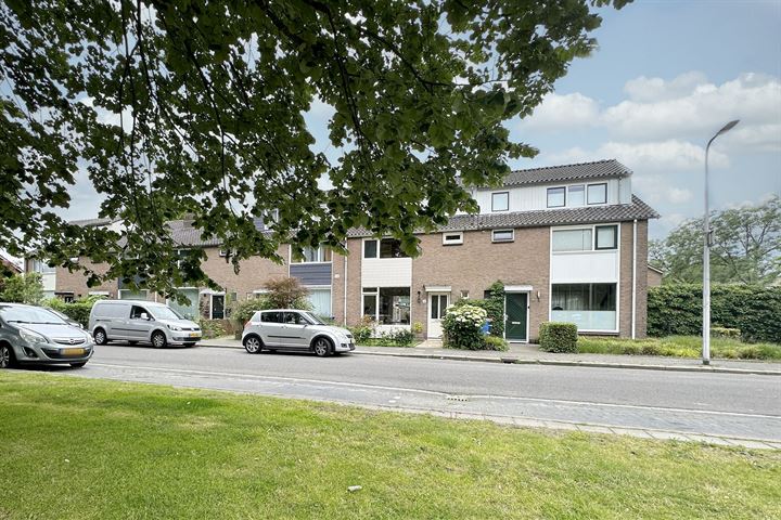 Bekijk foto 36 van Ibisstraat 3