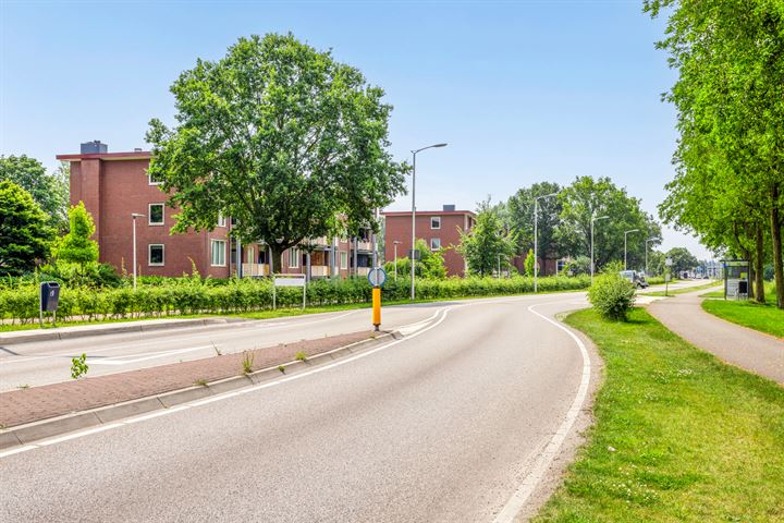 Bekijk foto 20 van Oude Lossersestraat 50