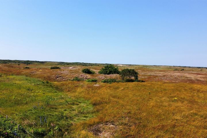 Bekijk foto 10 van Abdij van Rijnsburglaan 144