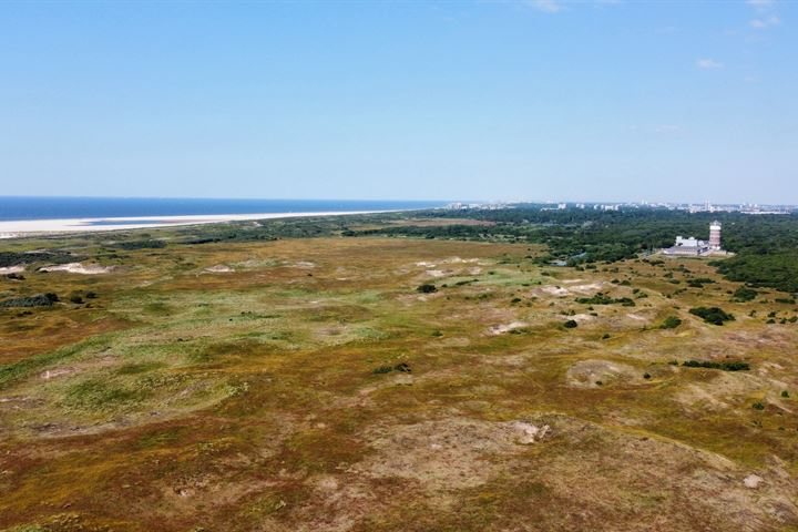 Bekijk foto 15 van Abdij van Rijnsburglaan 144