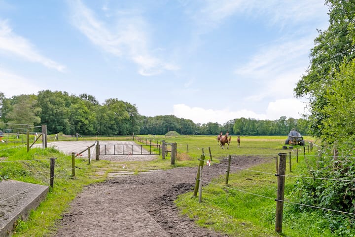 Photo 5 of Zuiderstraat 19