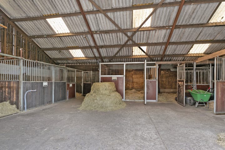 Photo 9 of Zuiderstraat 19