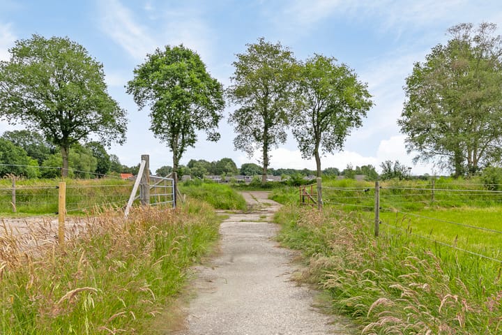 Photo 52 of Zuiderstraat 19