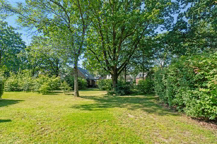 Photo 29 of Spinola 41