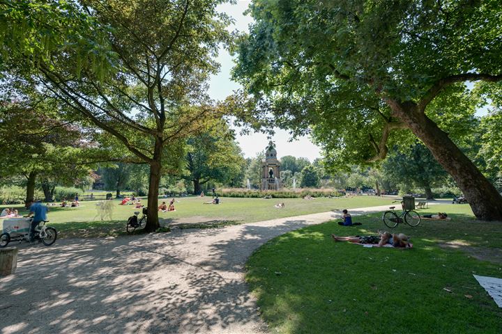 Bekijk foto 36 van Gerard Doustraat 226-1