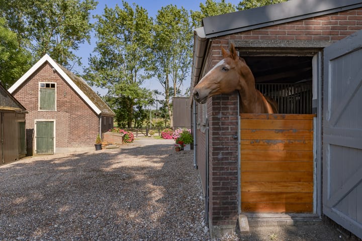 Photo 20 of Damkensvoetpad 1