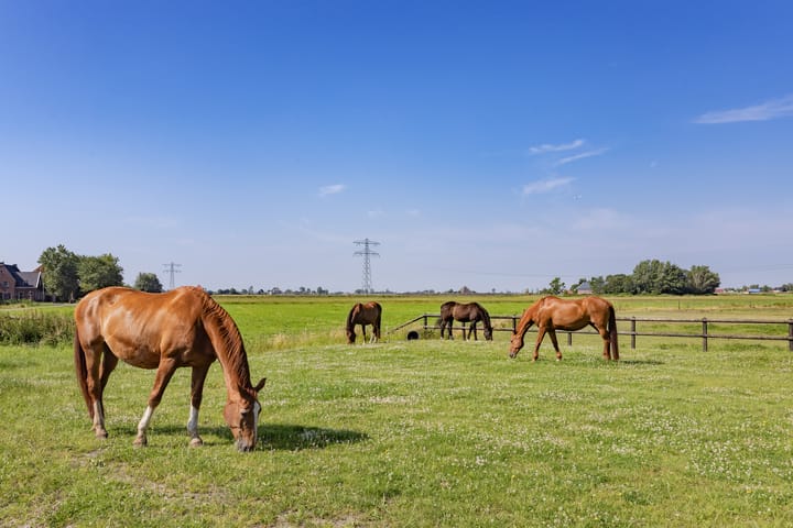 Photo 23 of Damkensvoetpad 1