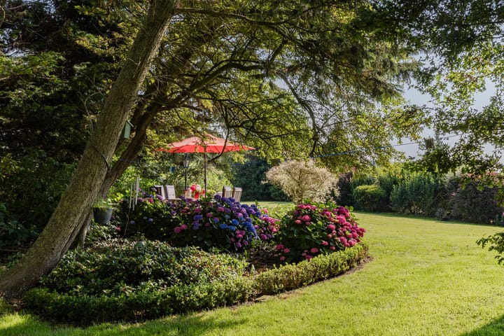 Photo 28 of Damkensvoetpad 1