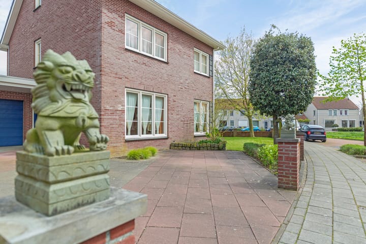 Foto 6 van Hoogaars 2