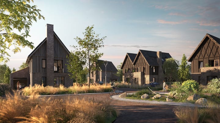 Foto 2 van Vingerhoedskruid 3