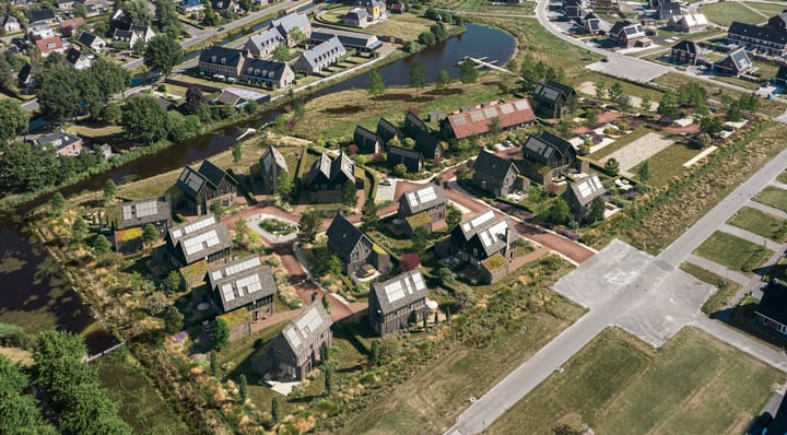 Foto 4 van Vingerhoedskruid 3