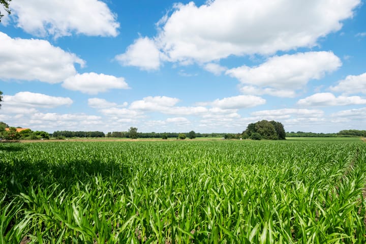 Foto 43 van Valtherweg 36-293