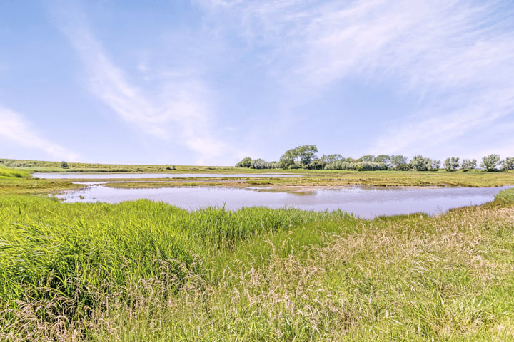 Bekijk foto 18 van Boogerdweg 2