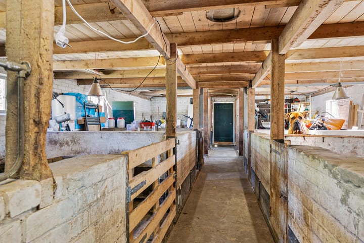 Foto 38 van Vaart Nz 109