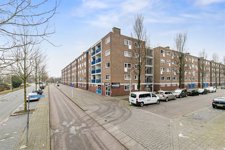 Bekijk foto 32 van Linnaeusstraat 226