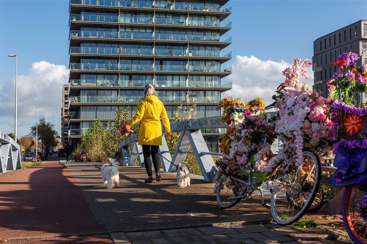 Bekijk foto 44 van Mariadistelkade 73