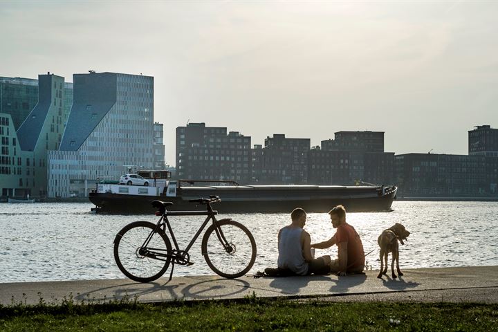 Bekijk foto 45 van Mariadistelkade 73