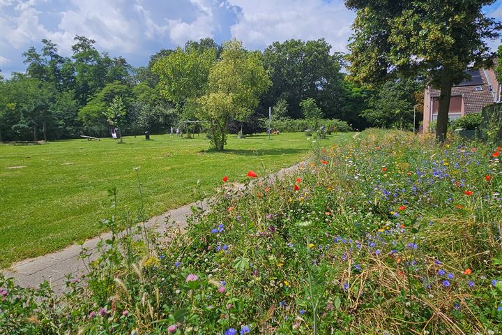 Bekijk foto 18 van Molenbeek 34