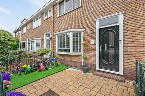 undefined main image