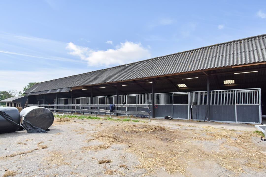 Foto 2 van Meerpolder 29