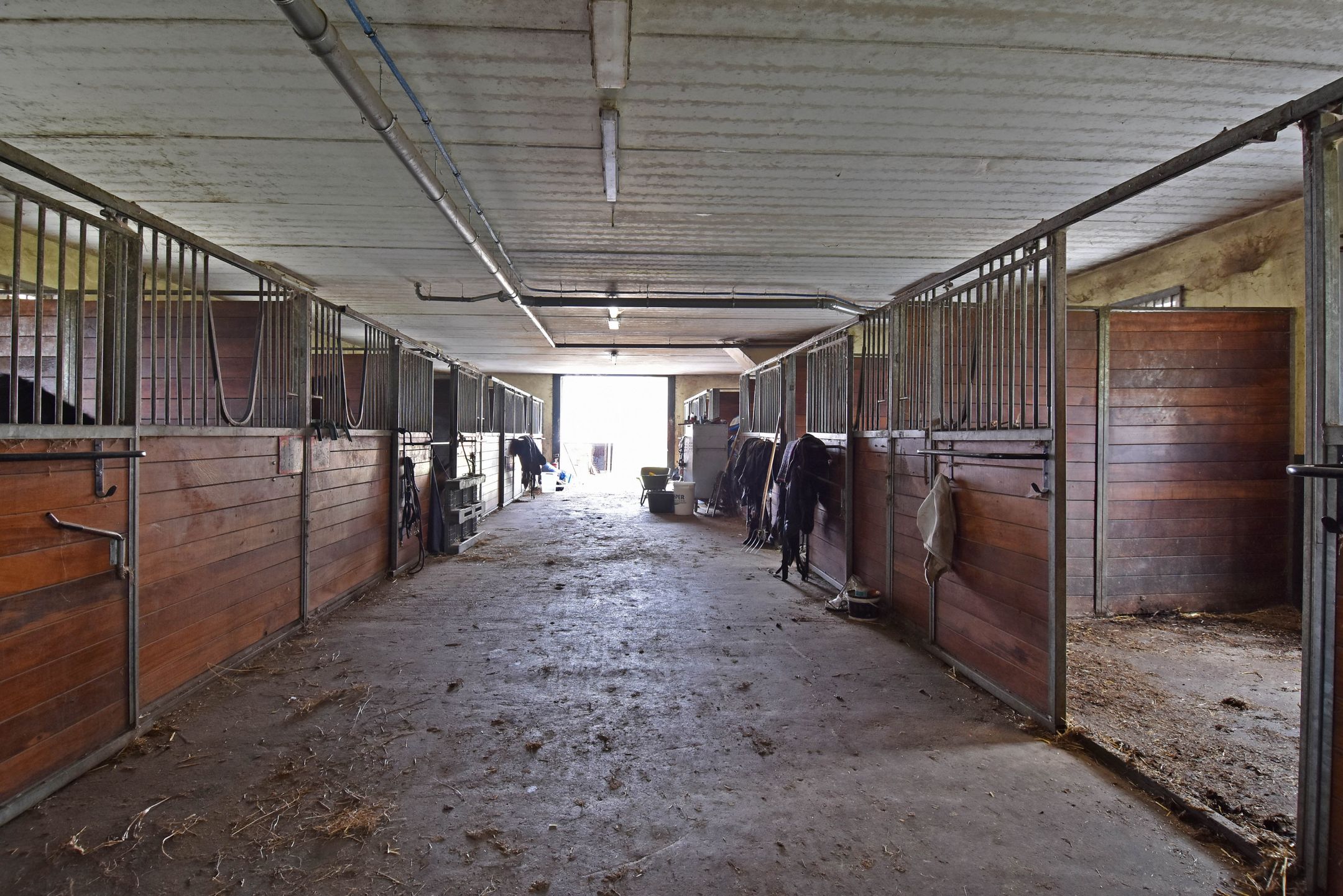 Foto 3 van Meerpolder 29