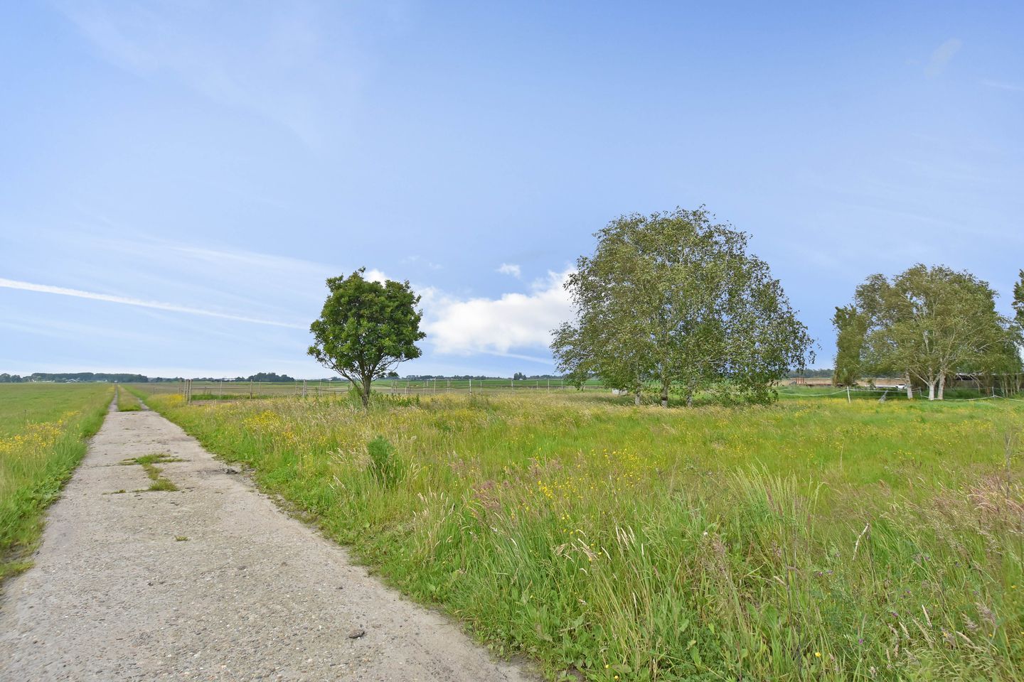 Foto 5 van Meerpolder 29