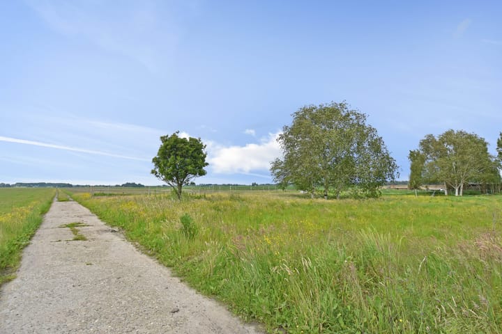 Foto 5 van Meerpolder 29