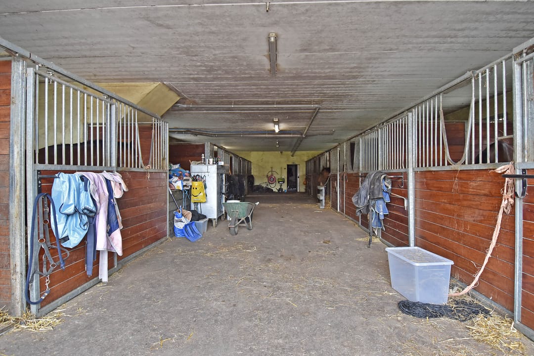 Foto 61 van Meerpolder 29