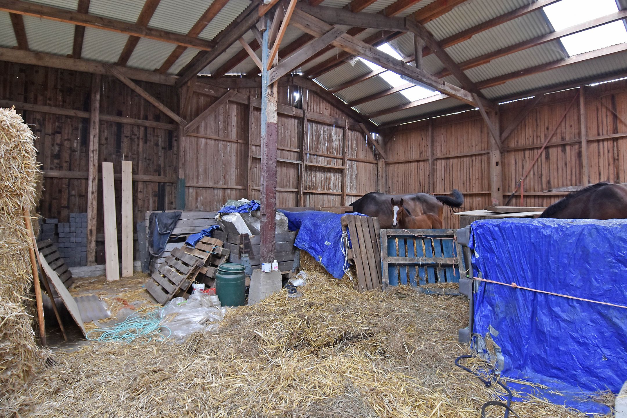 Foto 63 van Meerpolder 29