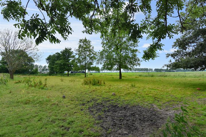 View photo 78 of Meerpolder 29