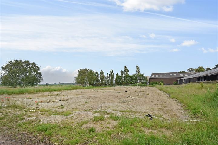 View photo 81 of Meerpolder 29