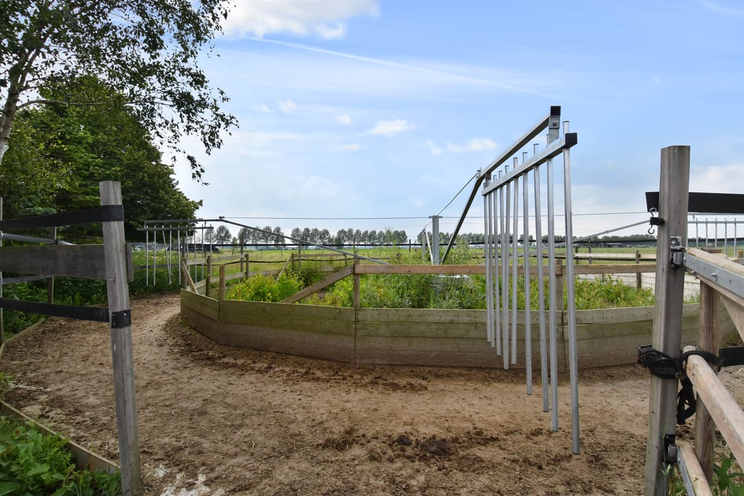 Foto 82 van Meerpolder 29