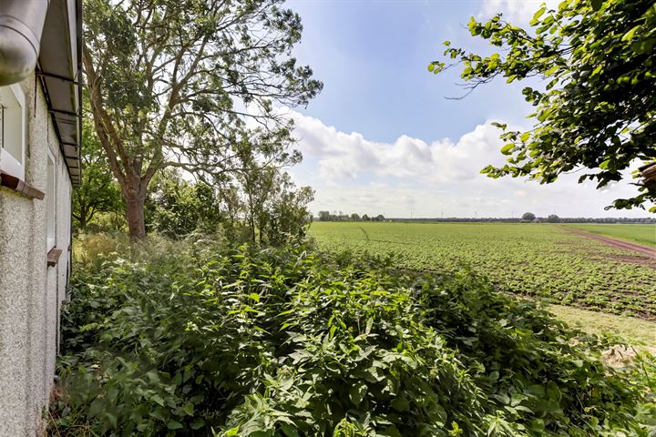 Bekijk foto 10 van Oudendijk 41