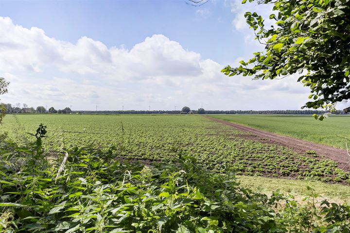 Bekijk foto 11 van Oudendijk 41