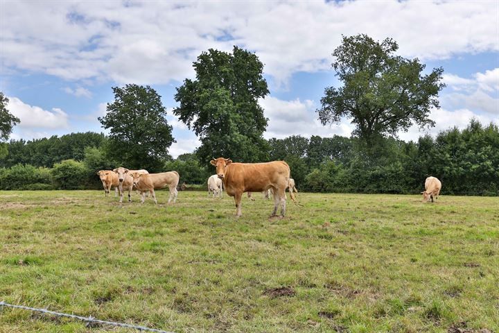 Bekijk foto 46 van Lytse Wei 61