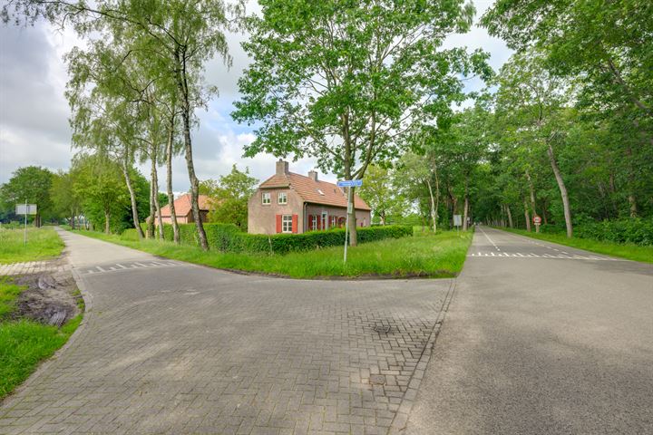 Bekijk foto 64 van Chaamseweg 49