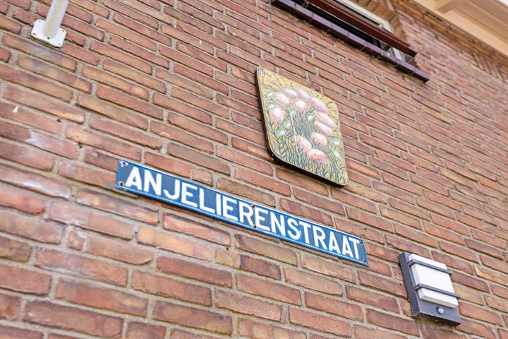 Bekijk foto 40 van Anjelierenstraat 1