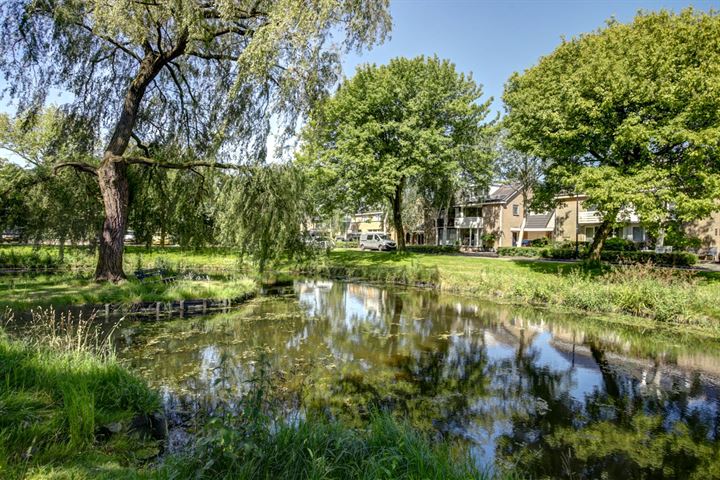 Bekijk foto 47 van Zuiderstraat 50