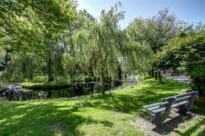 Bekijk foto 49 van Zuiderstraat 50