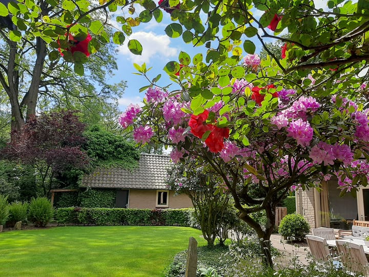 Photo 11 of Udenseweg 27