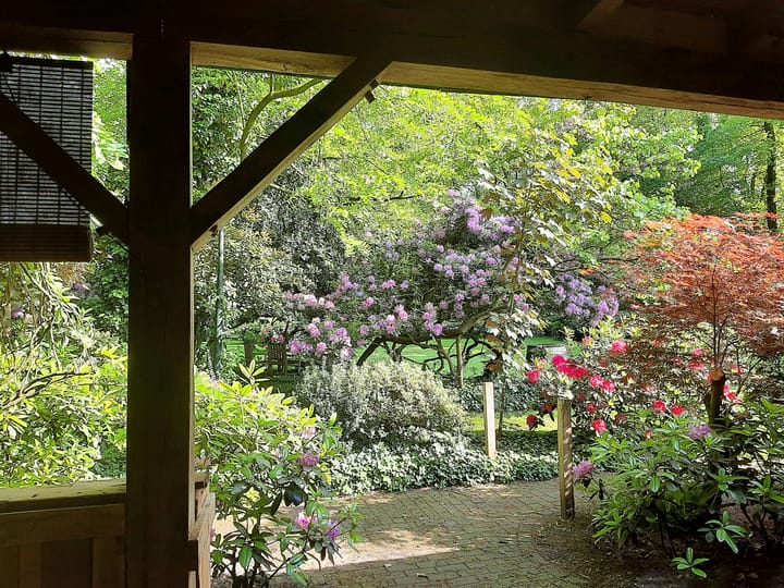 Photo 65 of Udenseweg 27