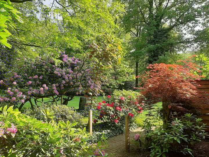 Photo 66 of Udenseweg 27