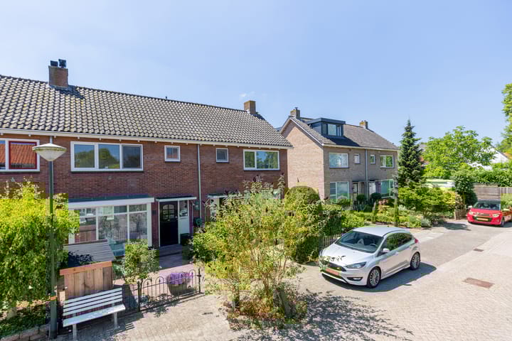 undefined main image