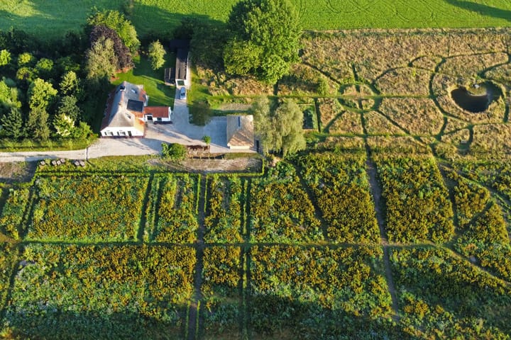 Foto 48 van Heiland 7