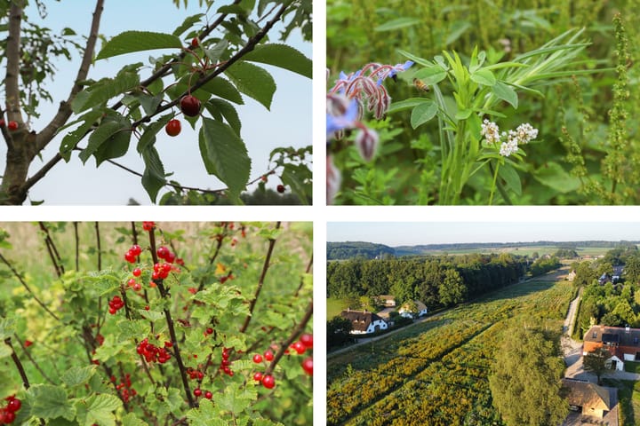 Foto 51 van Heiland 7