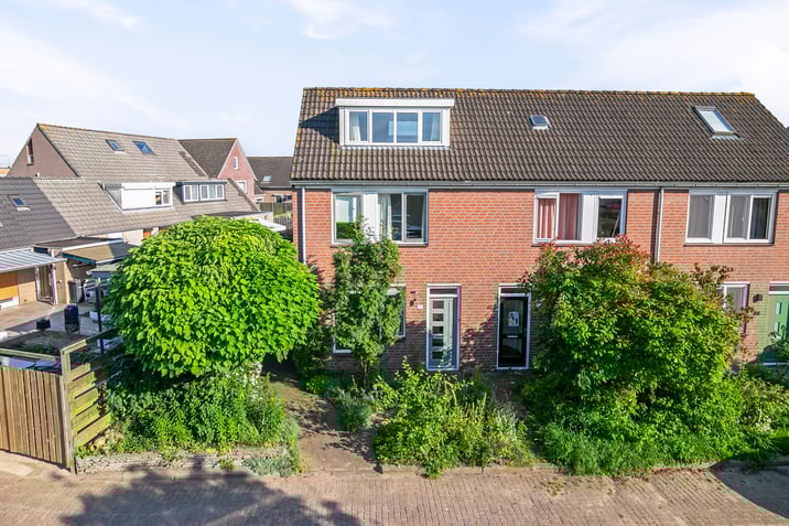 undefined main image