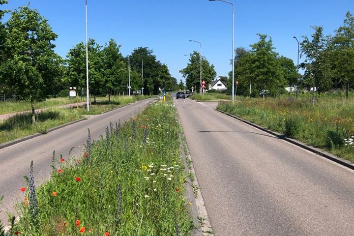 Bekijk foto 6 van Looweg 14