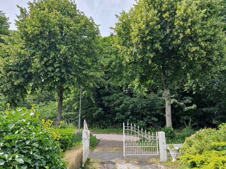 Foto 29 van Sportlaan 2