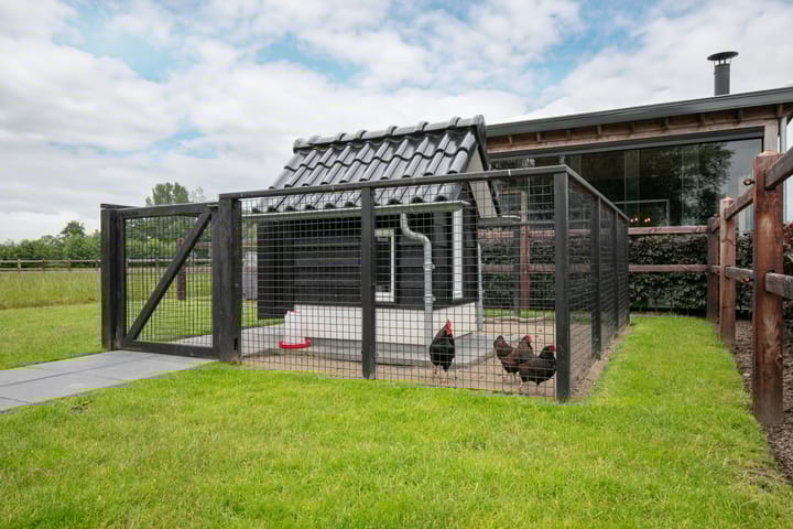 Photo 50 of Middelaar 3