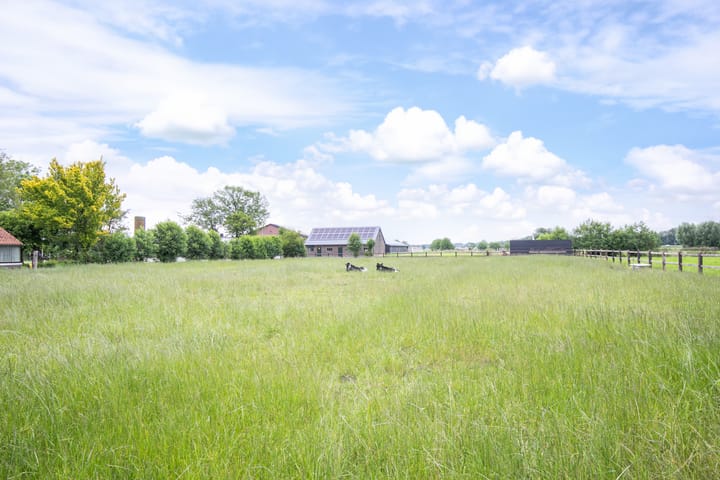 Photo 61 of Middelaar 3